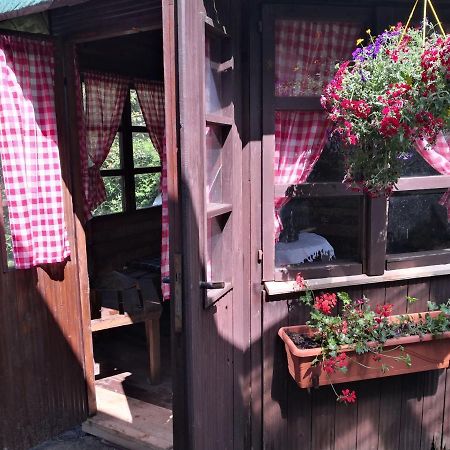 Charmante Ferienwohnung 3 Zimmer Kueche Bad Zentrale Lage Hagen im Bremischen Buitenkant foto