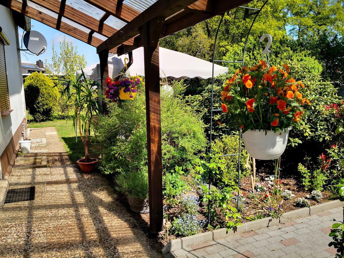 Charmante Ferienwohnung 3 Zimmer Kueche Bad Zentrale Lage Hagen im Bremischen Buitenkant foto